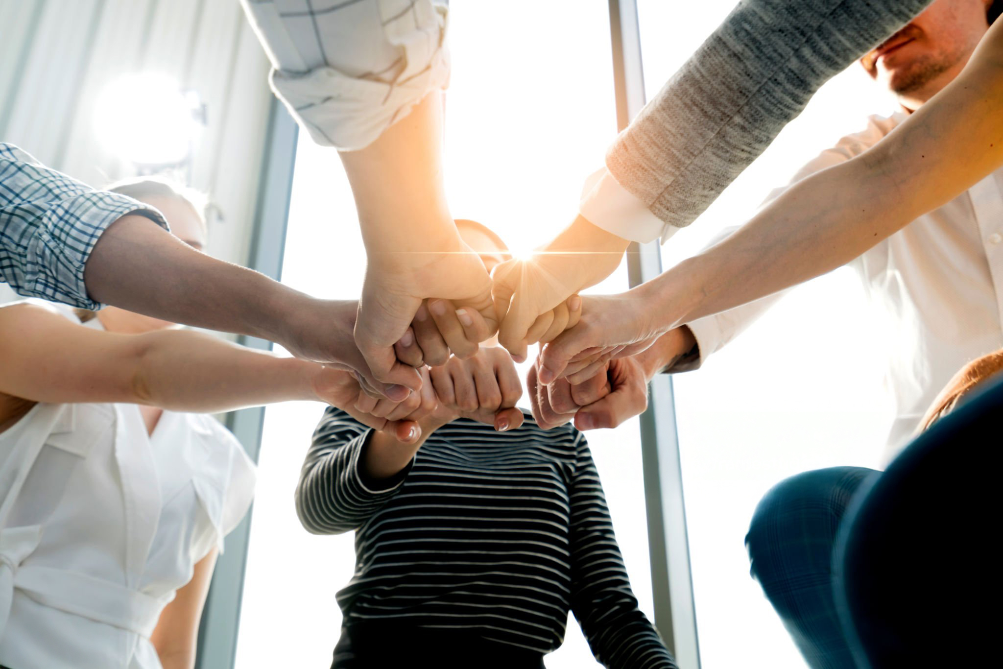 2. Genç ve Dinamik İş Gücü 